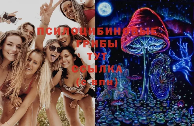 blacksprut ссылки  где можно купить   Москва  Псилоцибиновые грибы Cubensis 